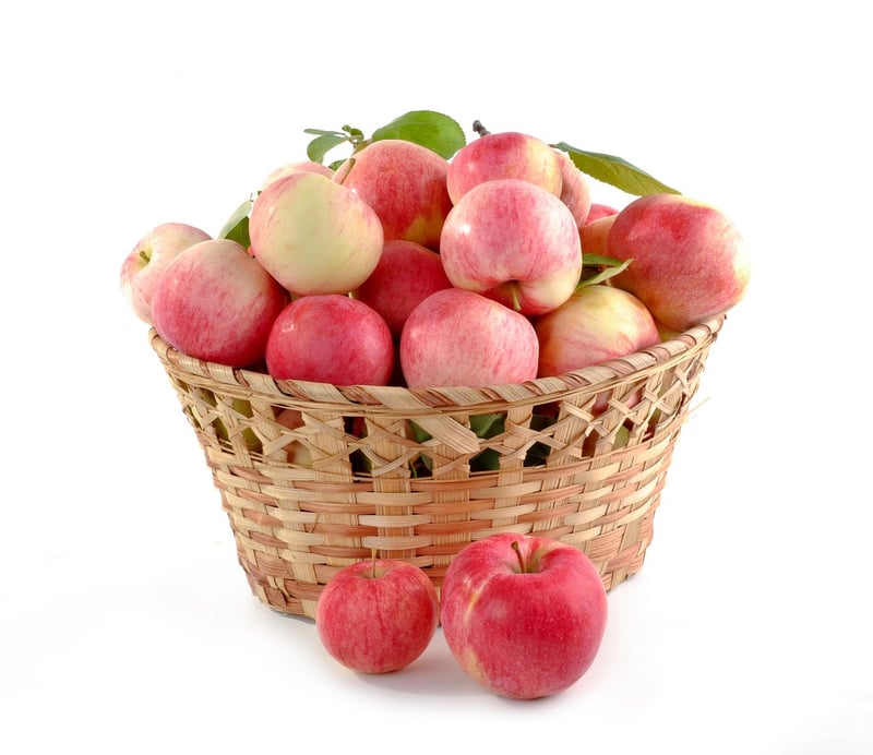 Fresh and wholesome